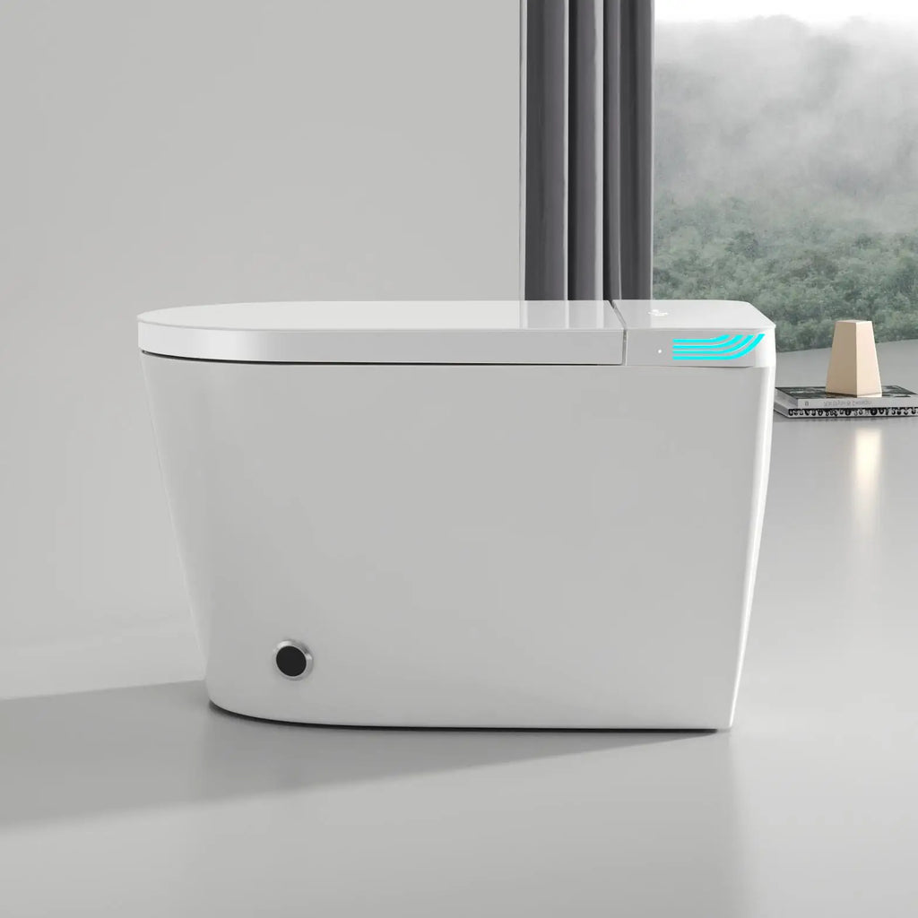 Smart Bidet Toilet US Standard Size Electronic Seat Cover Bidet with Remote Control