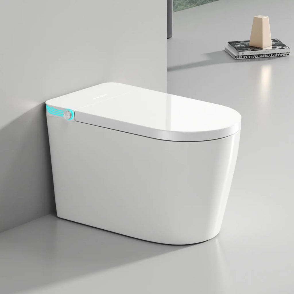Smart Bidet Toilet US Standard Size Electronic Seat Cover Bidet with Remote Control