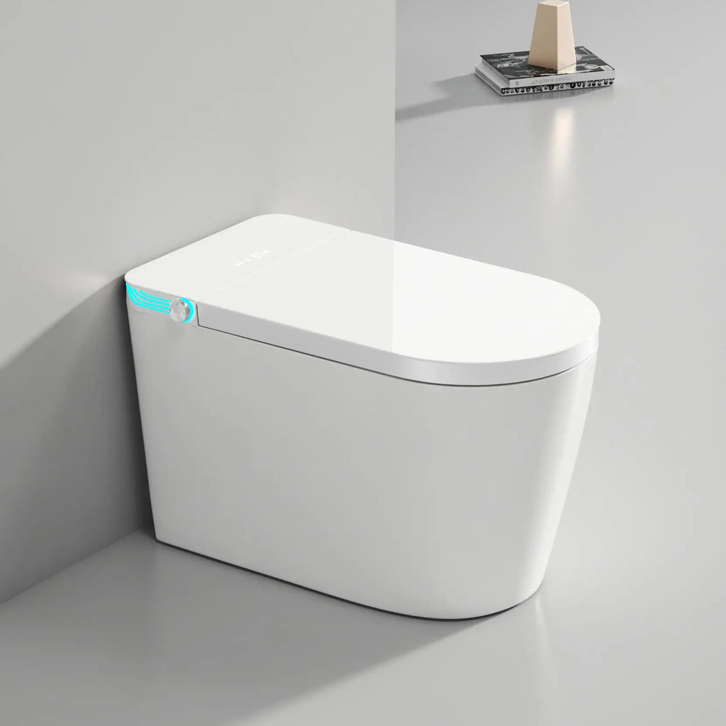 Smart Bidet Toilet US Standard Size Electronic Seat Cover Bidet with Remote Control