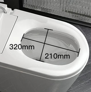 Smart Bidet Toilet US Standard Size Electronic Seat Cover Bidet with Remote Control