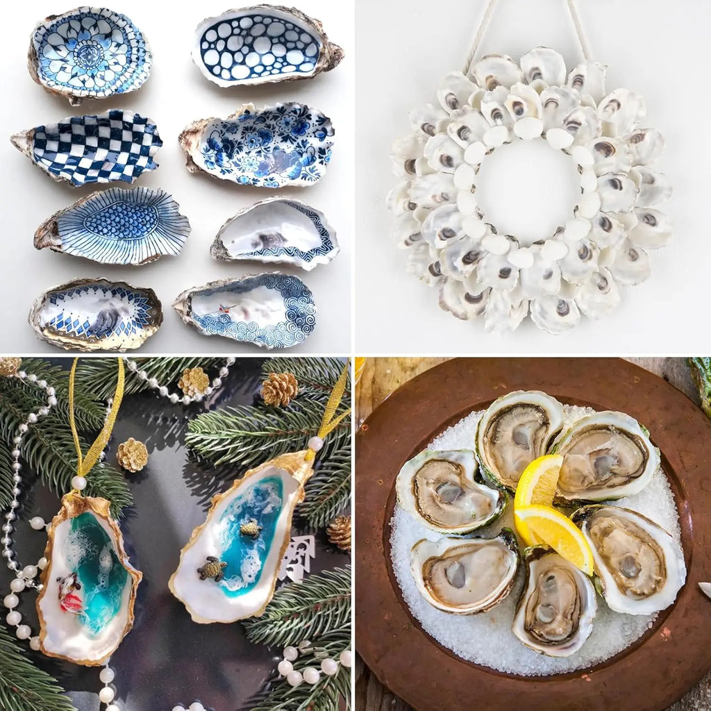 30pcs Oyster Shells With Pearl Bulk Natural Oyster Shells for Crafts DIY Arts Xmas Ornaments
