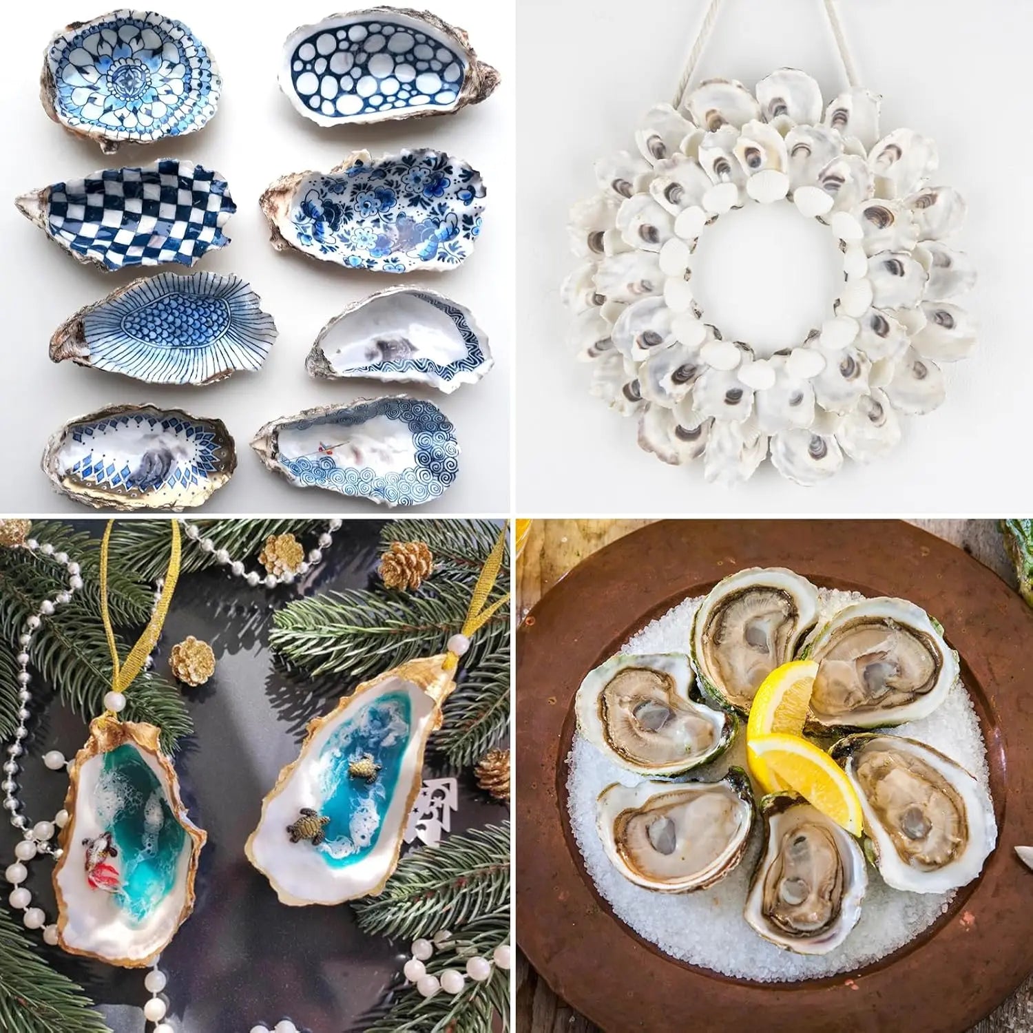 30pcs Oyster Shells With Pearl Bulk Natural Oyster Shells for Crafts DIY Arts Xmas Ornaments
