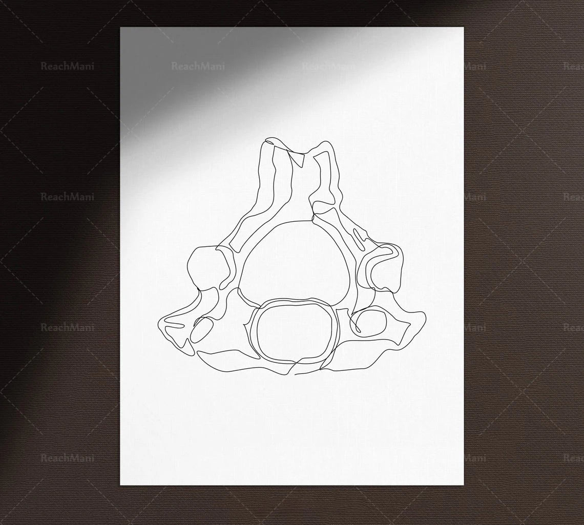 Abstract Medical Art Set of 4, Minimalist Chiropractic Art Prints, Simple Line Art Anatomy, Spine Art Poster, Vertebrae Drawing,
