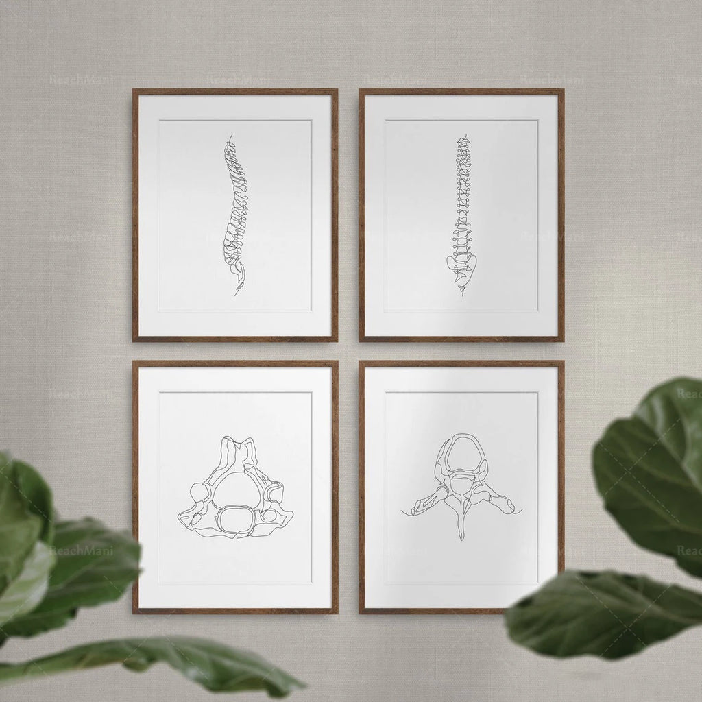 Abstract Medical Art Set of 4, Minimalist Chiropractic Art Prints, Simple Line Art Anatomy, Spine Art Poster, Vertebrae Drawing,