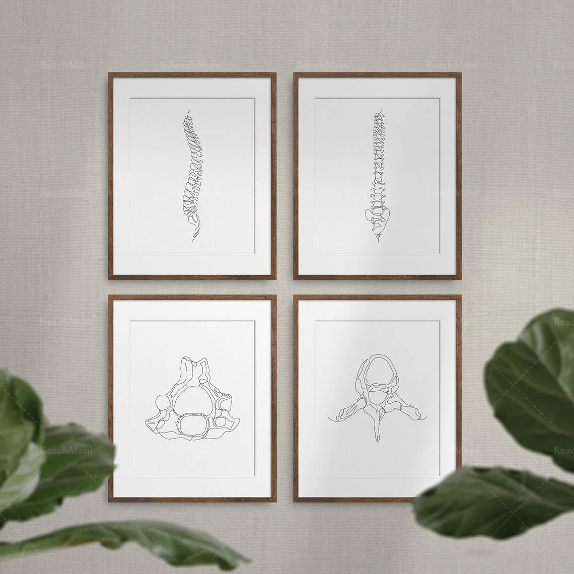 Abstract Medical Art Set of 4, Minimalist Chiropractic Art Prints, Simple Line Art Anatomy, Spine Art Poster, Vertebrae Drawing,