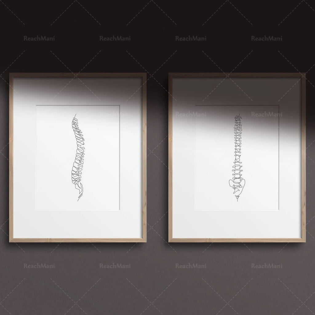 Abstract Medical Art Set of 4, Minimalist Chiropractic Art Prints, Simple Line Art Anatomy, Spine Art Poster, Vertebrae Drawing,