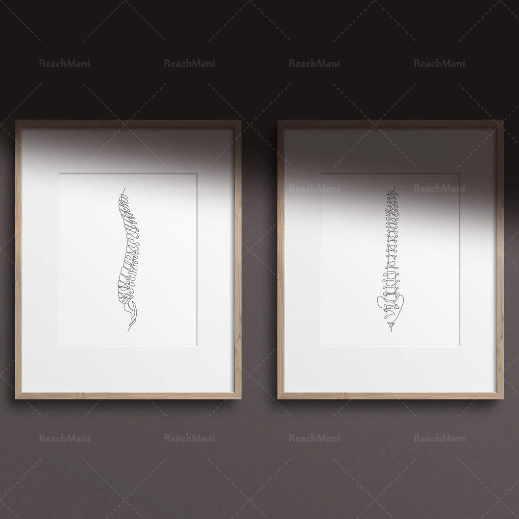Abstract Medical Art Set of 4, Minimalist Chiropractic Art Prints, Simple Line Art Anatomy, Spine Art Poster, Vertebrae Drawing,