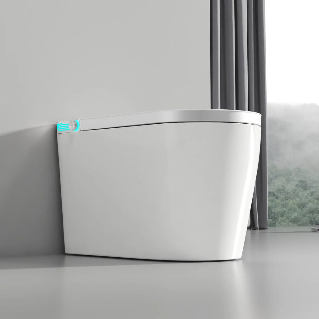 Smart Bidet Toilet US Standard Size Electronic Seat Cover Bidet with Remote Control