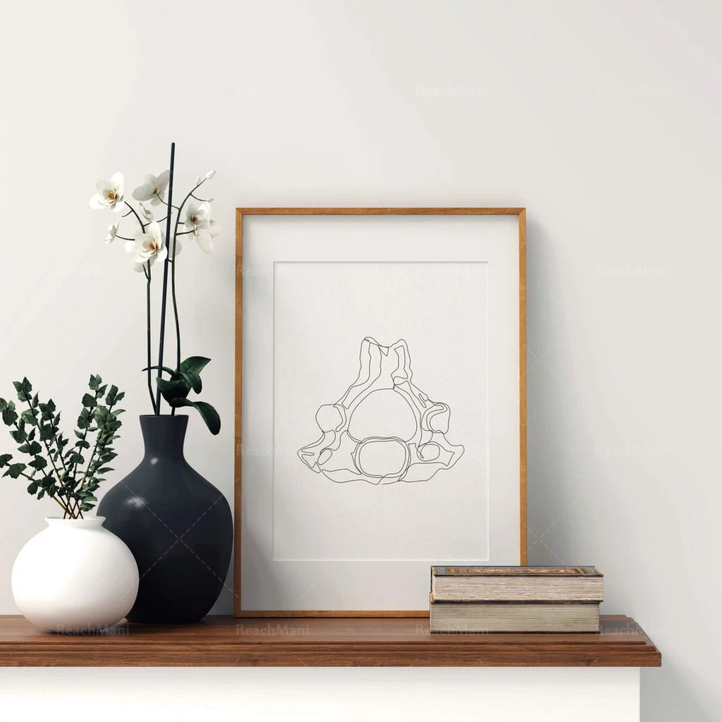Abstract Medical Art Set of 4, Minimalist Chiropractic Art Prints, Simple Line Art Anatomy, Spine Art Poster, Vertebrae Drawing,