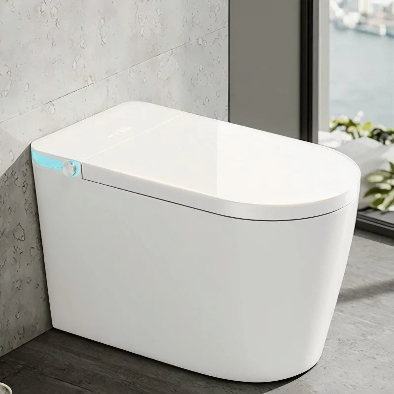 Smart Bidet Toilet US Standard Size Electronic Seat Cover Bidet with Remote Control
