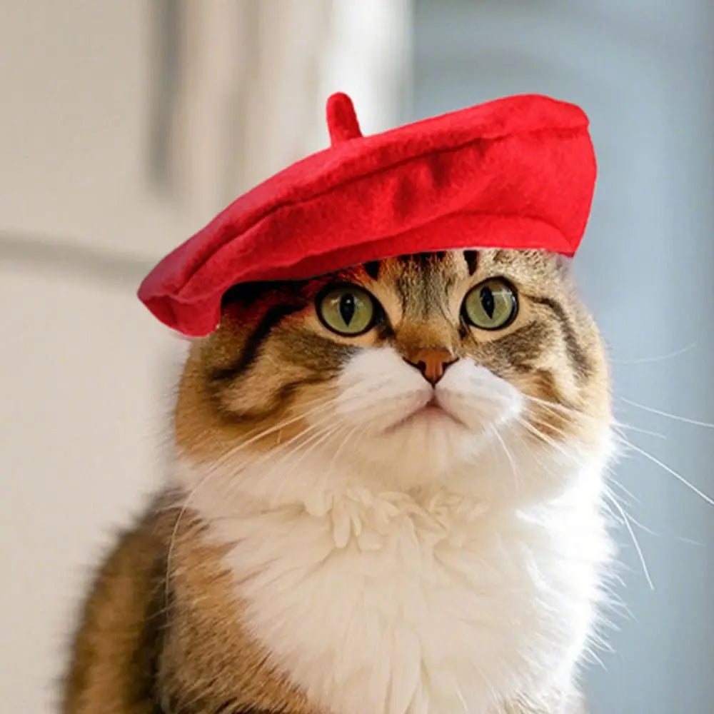 Pet Accessories Cute Cat Beret Hat Fashionable Red Black Cat Sunscreen Hat Breathable Comfortable Cat Dog Caps Outdoor Indoor