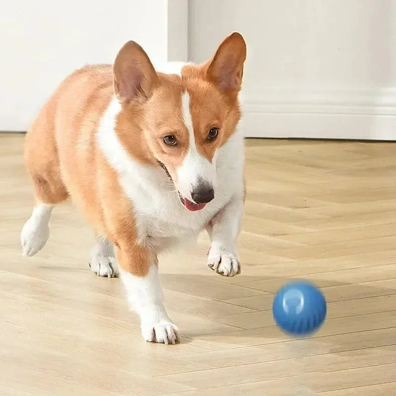USB Automatic Dog Accessories Mobile Bounce Moving Ball For Dogs Electronic Interactive Pet Toys Pool Cats Toy Bag Supplies Home