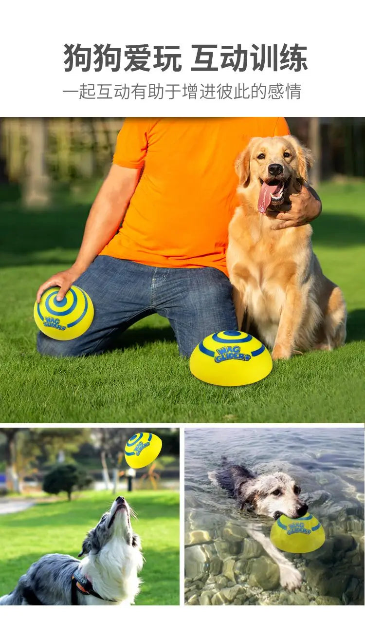 Wag Glider for Dogs Teething Stick, Glissade,Puppy Accessories,Make A Sound Slideshow Disc,Flying Pet Toys, PVC Yellow Funny