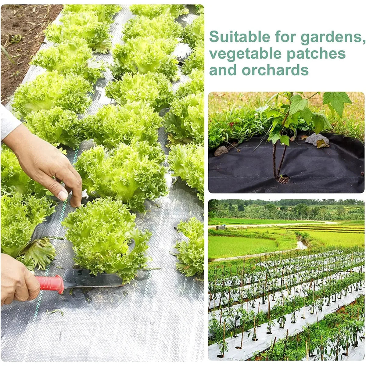 Garden Landscape Fabric Weed Membrane Agricultural Anti Grass Cloth Farm Weed Barrier Mat Plastic PE Mulch Thicker Orchard Cover