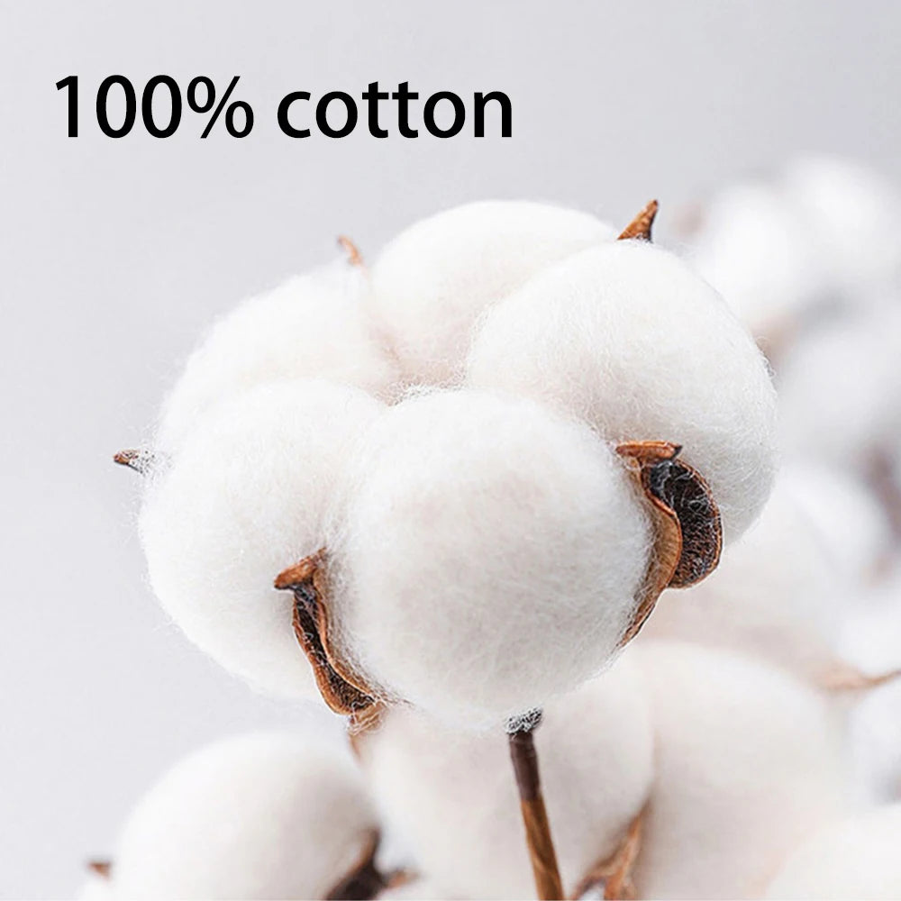 Ladies Summer 100% Cotton Women's T-shirt Bottoming Basic Fashionable Solid Lady Short Sleeve Loose Tops Shirts㎡ Tops