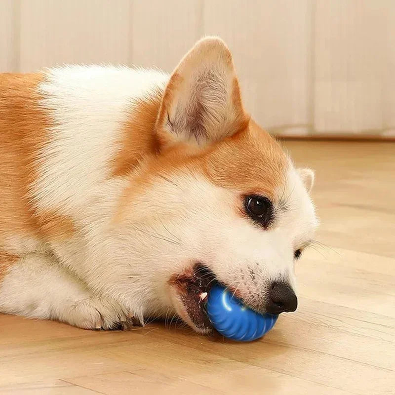 USB Automatic Dog Accessories Mobile Bounce Moving Ball For Dogs Electronic Interactive Pet Toys Pool Cats Toy Bag Supplies Home