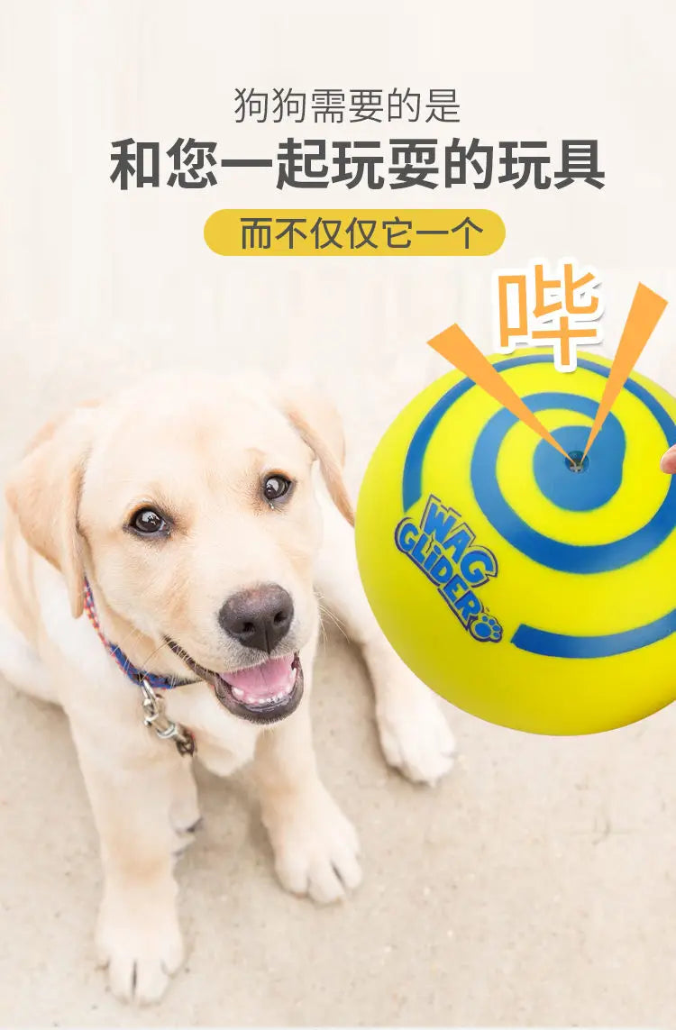 Wag Glider for Dogs Teething Stick, Glissade,Puppy Accessories,Make A Sound Slideshow Disc,Flying Pet Toys, PVC Yellow Funny