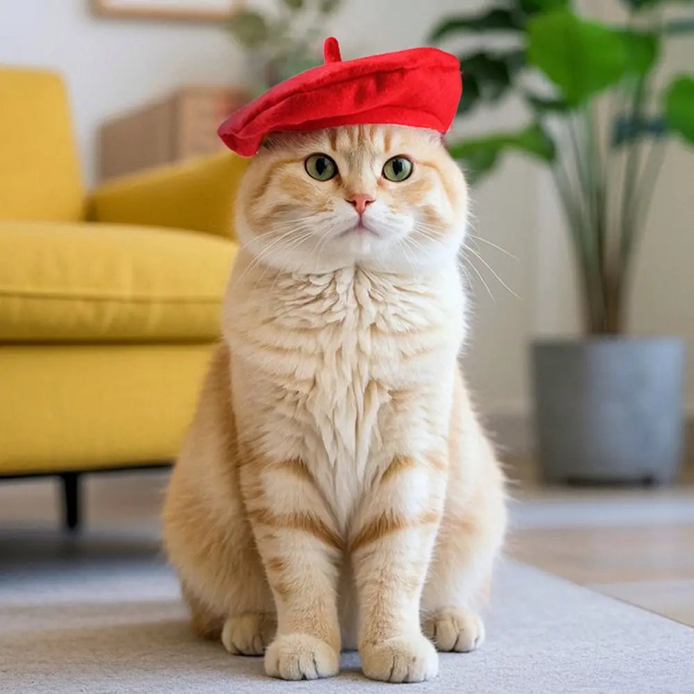 Pet Accessories Cute Cat Beret Hat Fashionable Red Black Cat Sunscreen Hat Breathable Comfortable Cat Dog Caps Outdoor Indoor