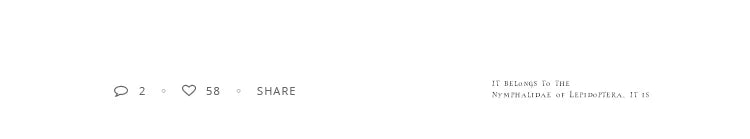 Luxurious Micro Inlaid Zircon Ring Interlocking Pendant Earrings For Exquisite Jewelry Parties Women and Girls 2024 Accessories