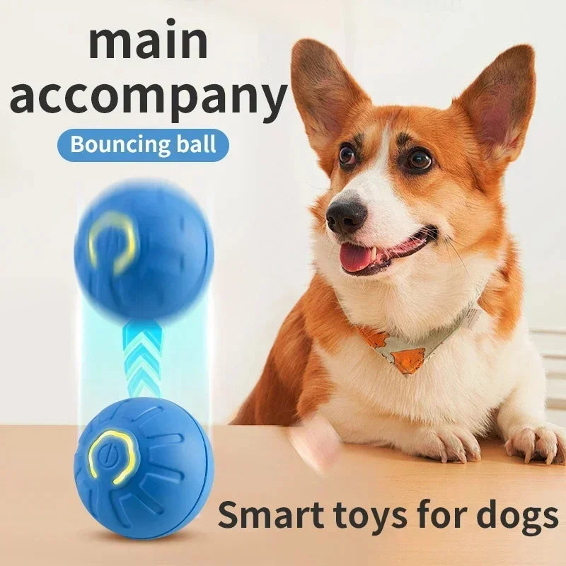 USB Automatic Dog Accessories Mobile Bounce Moving Ball For Dogs Electronic Interactive Pet Toys Pool Cats Toy Bag Supplies Home