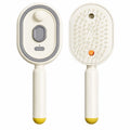 Electric Steam Brush for Hair Rechargeable Hair Brush with Water Spray Reduce Frizz Detangling & Anti-Static Hair Brush