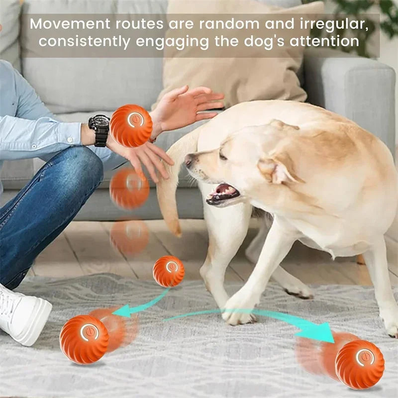 USB Automatic Dog Accessories Mobile Bounce Moving Ball For Dogs Electronic Interactive Pet Toys Pool Cats Toy Bag Supplies Home