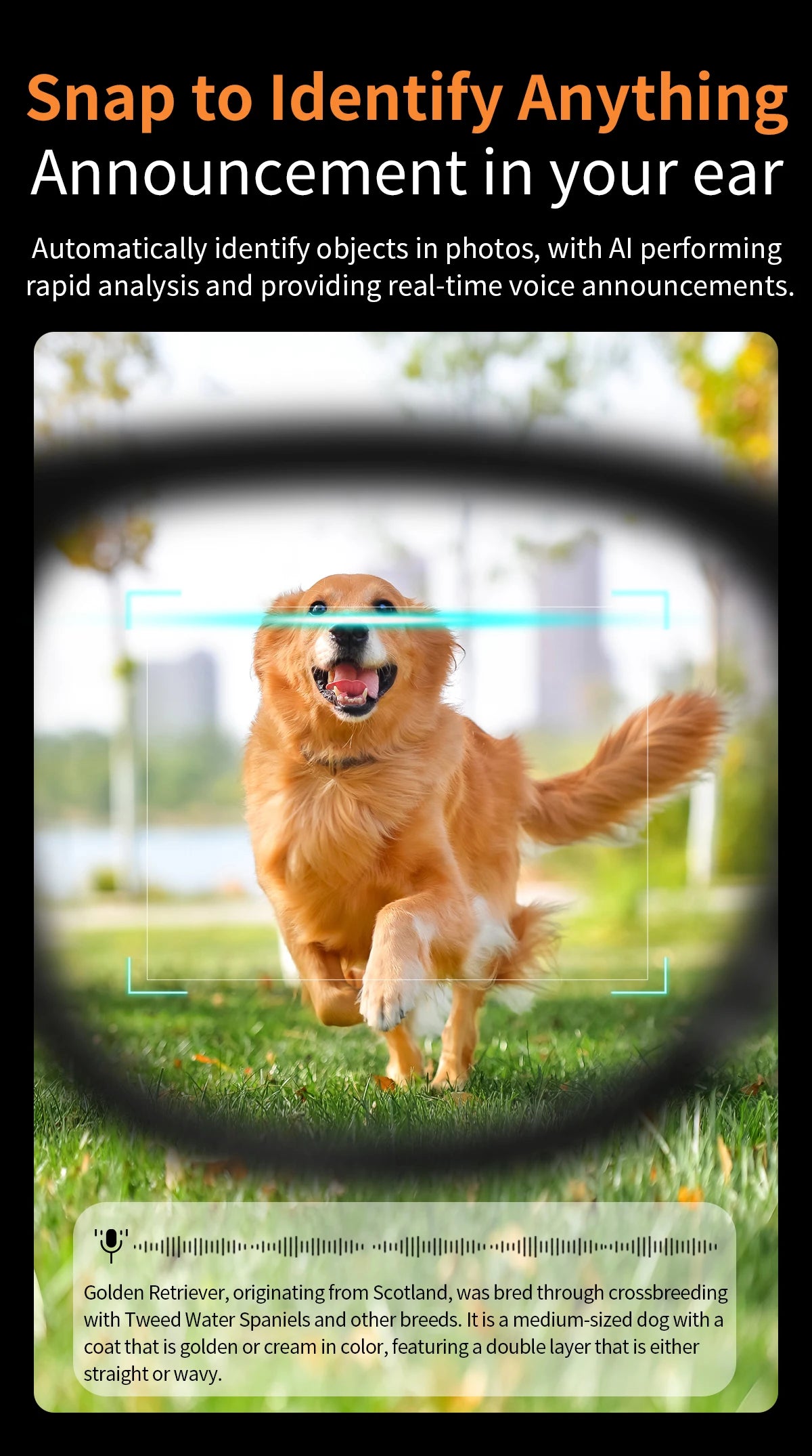 AI Smart Glasses V3 with 8MP Camera & ChatGPT. Features Bluetooth Call, Voice Wake-Up, Video Record & Music Play