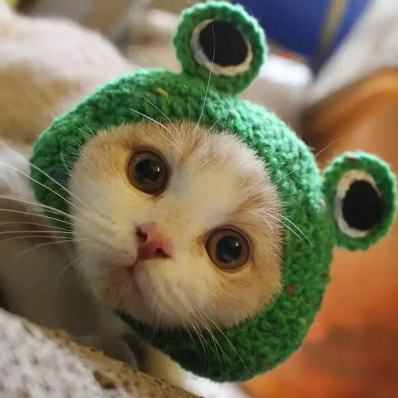 Cute Cat Hat Funny Pets Party Cosplay Headwear Delicate Hemming Pendant Decor Elasticity Knitted Hat Pet Accessories