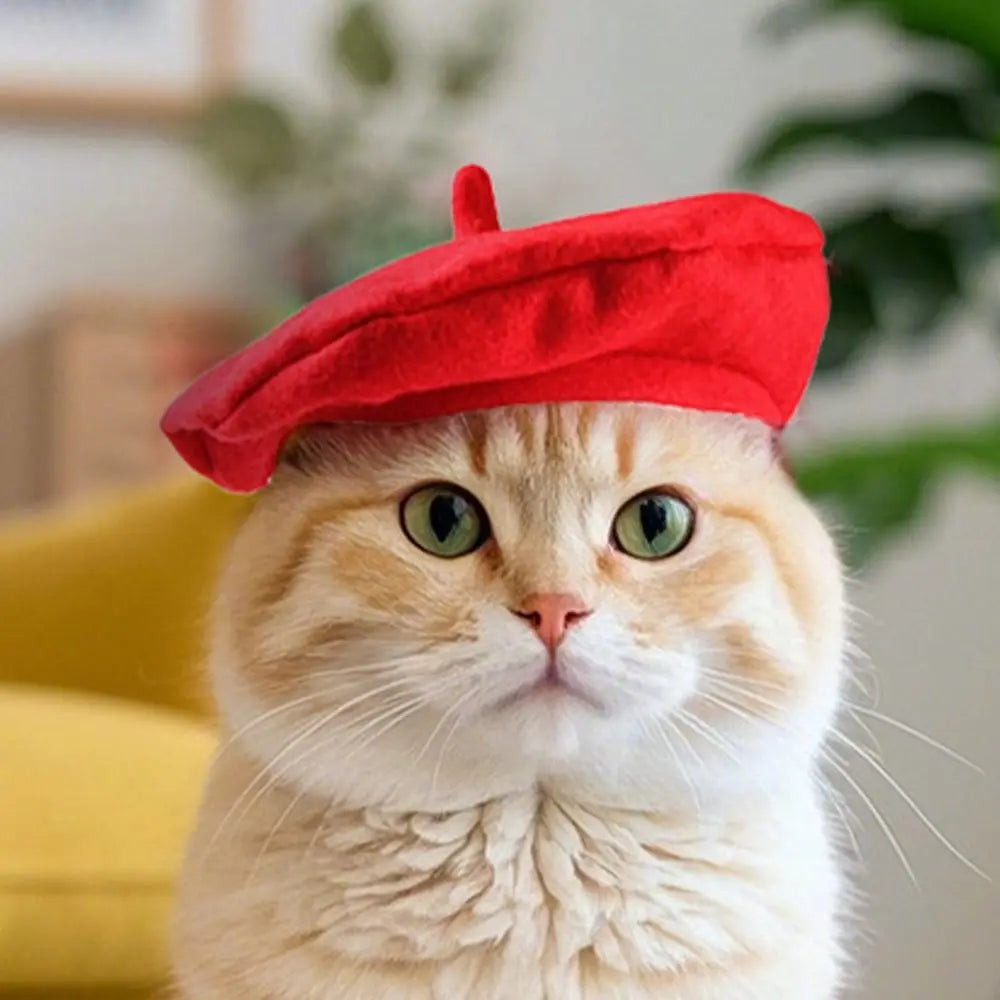 Pet Accessories Cute Cat Beret Hat Fashionable Red Black Cat Sunscreen Hat Breathable Comfortable Cat Dog Caps Outdoor Indoor