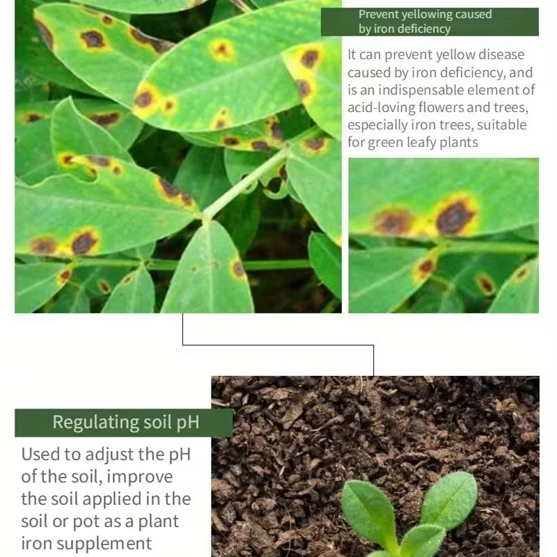 Compound Fertilizer Vegetables Agricultural Vegetables Flower Fertilizer Water Soluble Fertilizer Potted Plant Fertilizer