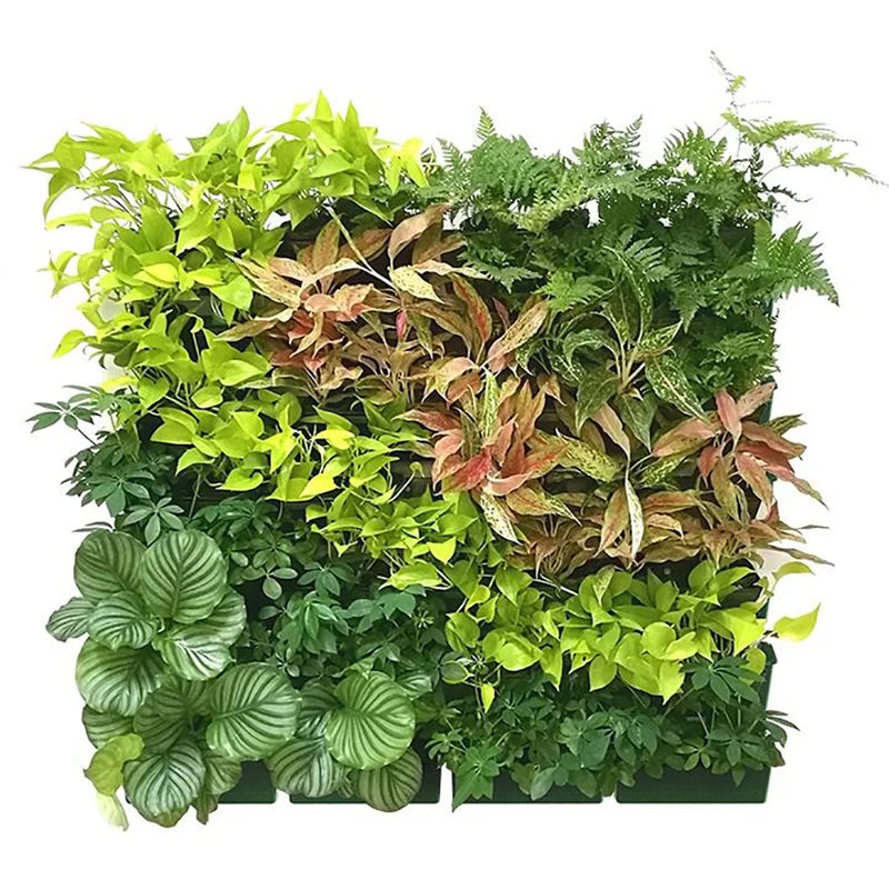 Garden Outdoor Plant Wall Flower Pot Container Wall Hanging Vertical Green