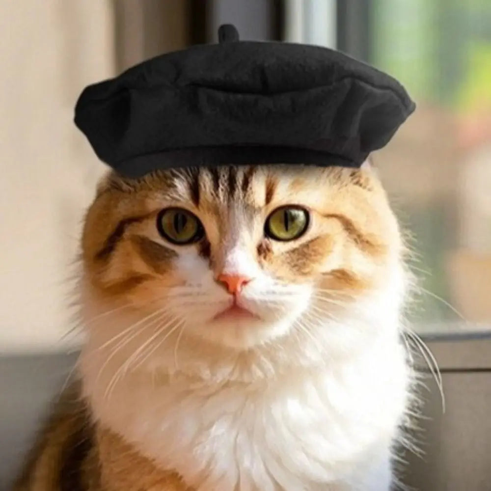 Pet Accessories Cute Cat Beret Hat Fashionable Red Black Cat Sunscreen Hat Breathable Comfortable Cat Dog Caps Outdoor Indoor