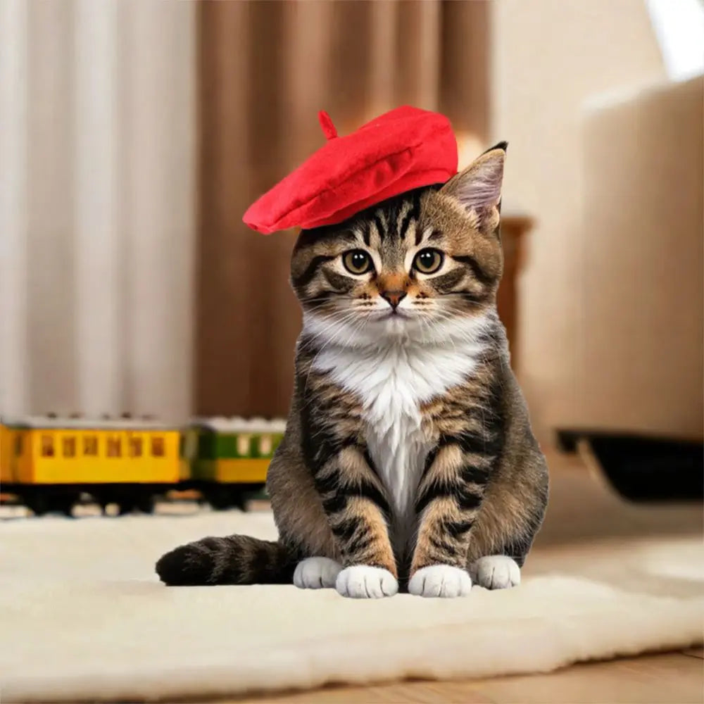 Pet Accessories Cute Cat Beret Hat Fashionable Red Black Cat Sunscreen Hat Breathable Comfortable Cat Dog Caps Outdoor Indoor