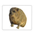 Cute rock hyrax Mouse Pad Computer Keyboard Mouse Mat Gaming PC Laptop Desk Mat Office Accessories Table Mats