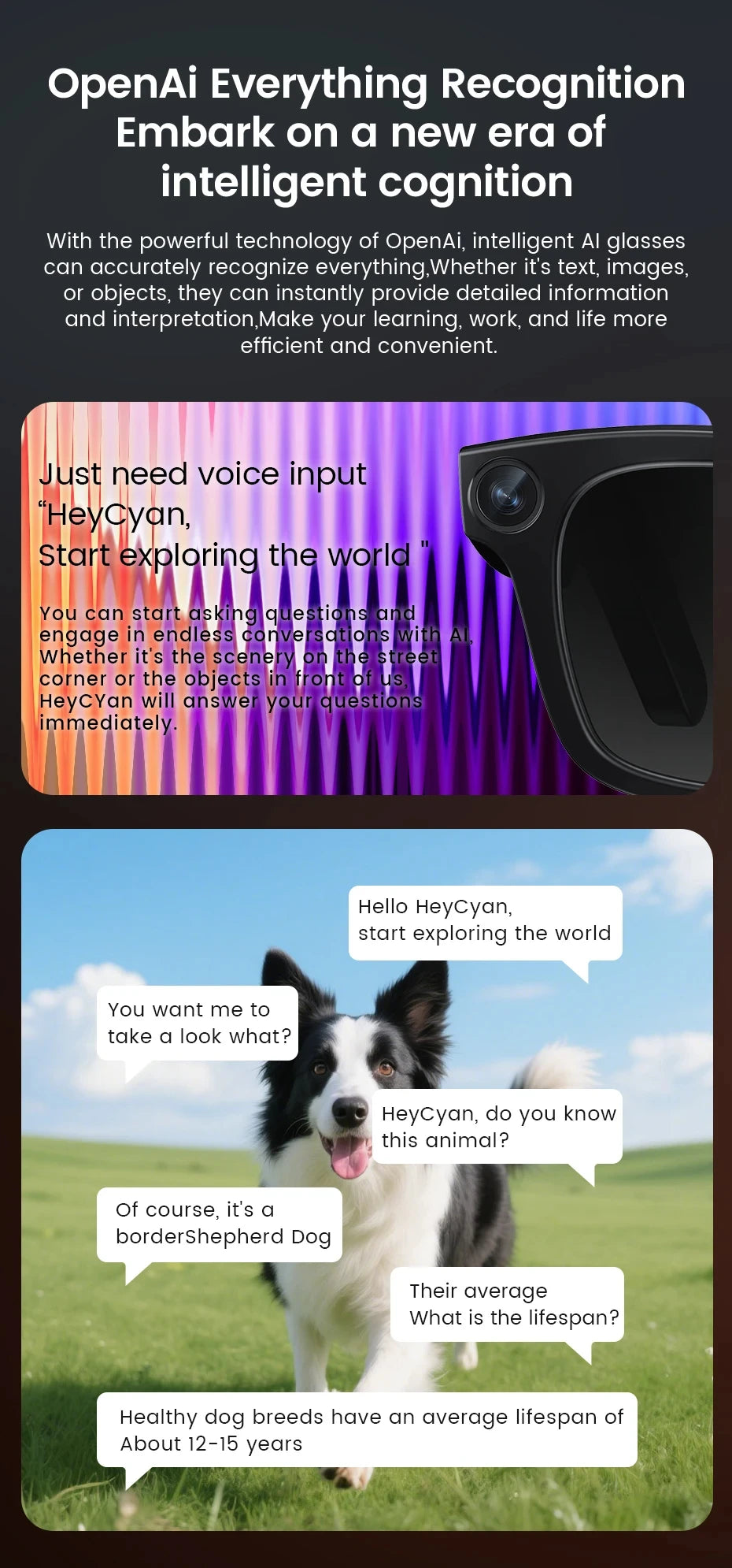 2026 AI Smart Glasses: AI Voice Translation, Video, Bluetooth Call, Music Touch Photochromic Lenses Hands-free, Universal Gift