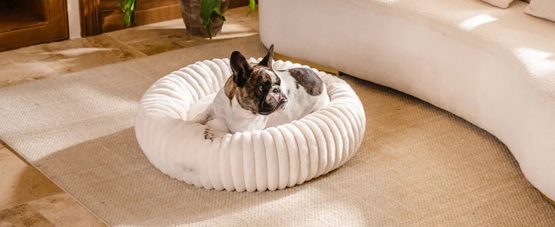 Pet Nest Rabbit Plush Pet Pad Long Hair Round Cat Nest Universal Warm Dog Bed in All Seasons Soft Cat House  Pet Accessories