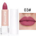 15Color Lipstick Lip Makeup Sexy Woman Velvet Matte Lipgross Tint for Lips Long Lasting Waterproof Non-stick Cup Lip Cosmetics