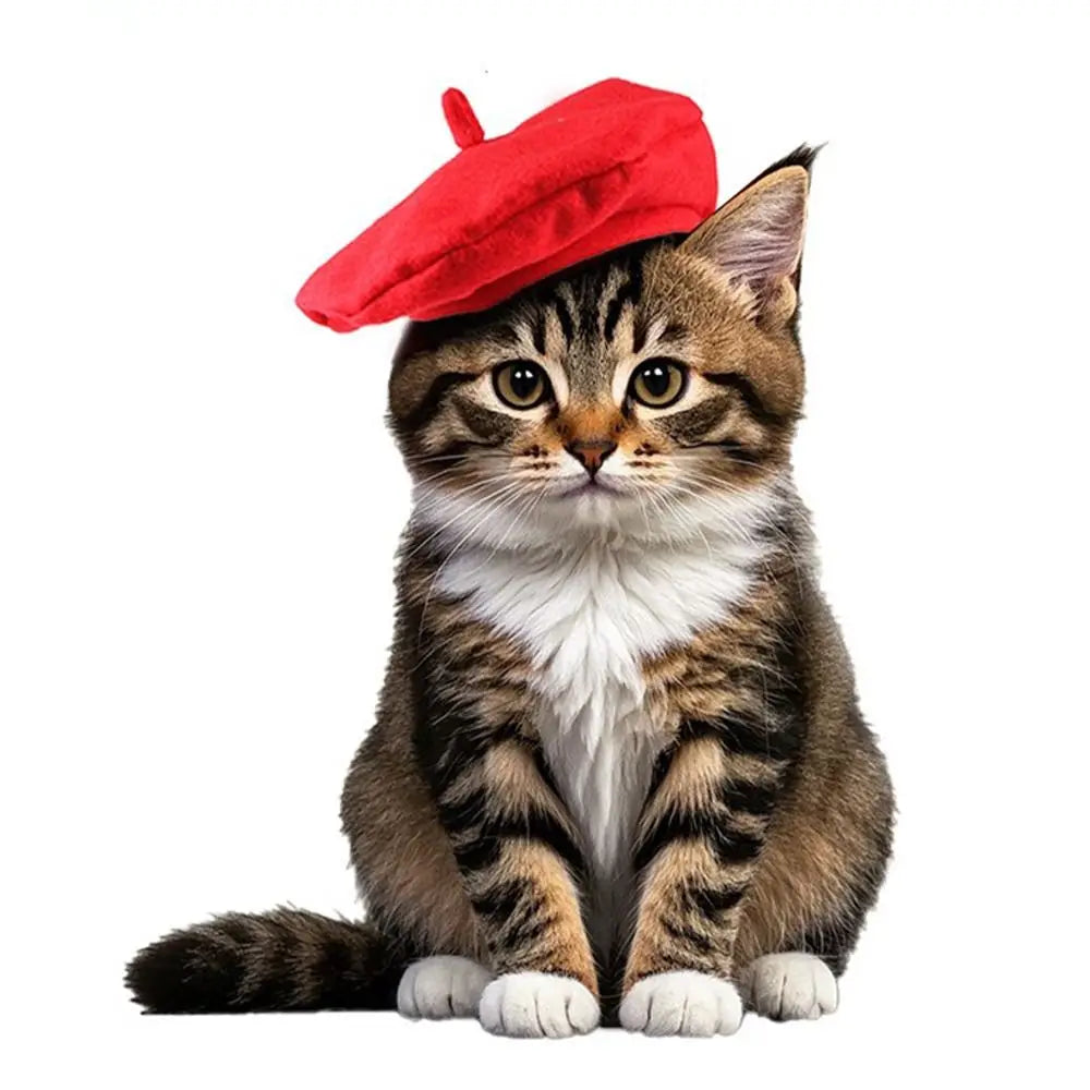 Pet Accessories Cute Cat Beret Hat Fashionable Red Black Cat Sunscreen Hat Breathable Comfortable Cat Dog Caps Outdoor Indoor