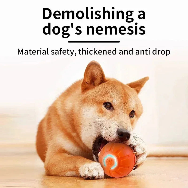 USB Automatic Dog Accessories Mobile Bounce Moving Ball For Dogs Electronic Interactive Pet Toys Pool Cats Toy Bag Supplies Home