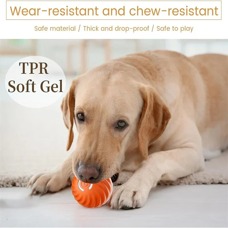 USB Automatic Dog Accessories Mobile Bounce Moving Ball For Dogs Electronic Interactive Pet Toys Pool Cats Toy Bag Supplies Home