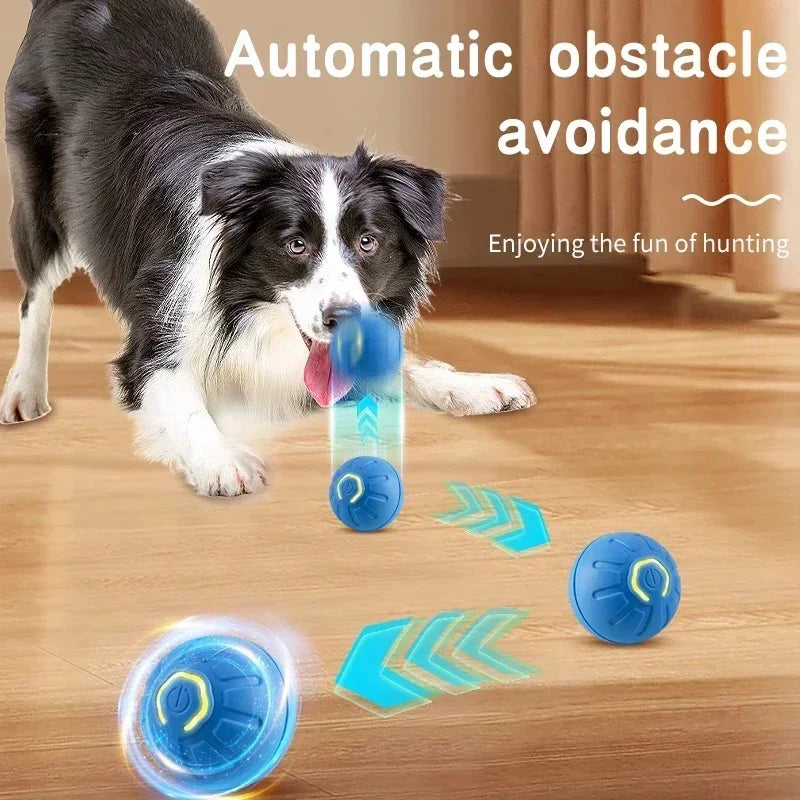USB Automatic Dog Accessories Mobile Bounce Moving Ball For Dogs Electronic Interactive Pet Toys Pool Cats Toy Bag Supplies Home